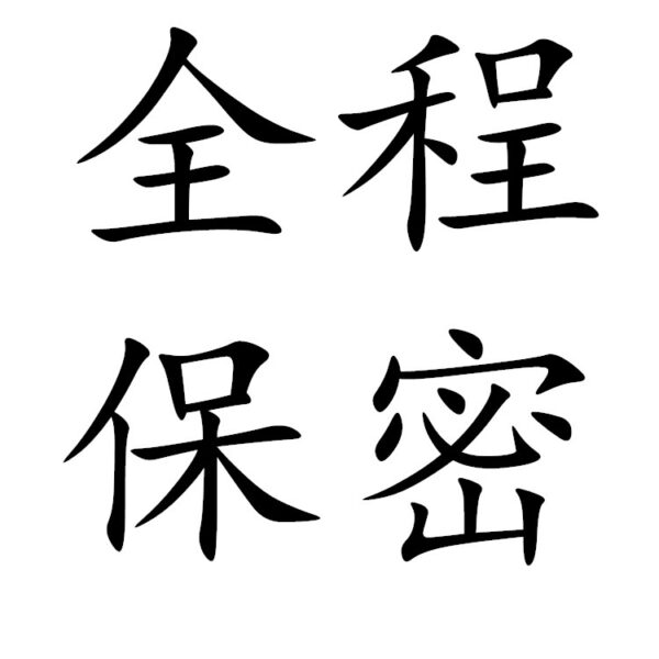 蕾丝蝴蝶结情趣性感透视诱惑女士丁字裤T裤网纱代发3009