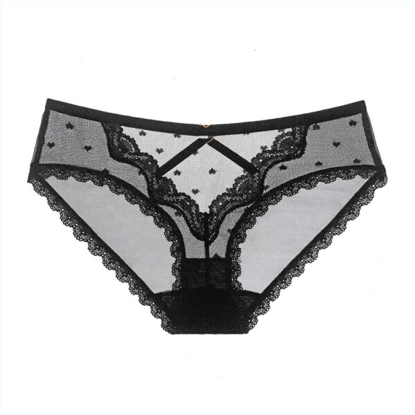 Long night sexy lingerie women's lace sexy panties hollow mesh briefs temptation hot breathable 3065
